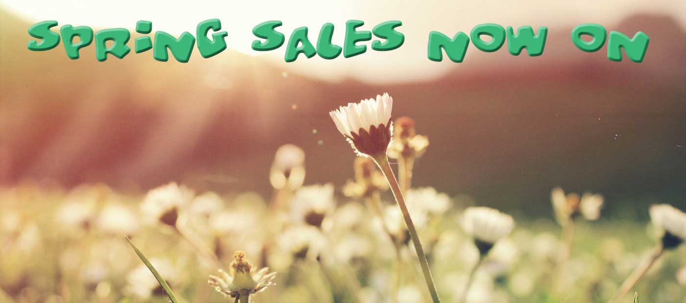 Spring Sales 2024